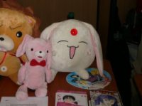 Stands_Amateurs_051.jpg